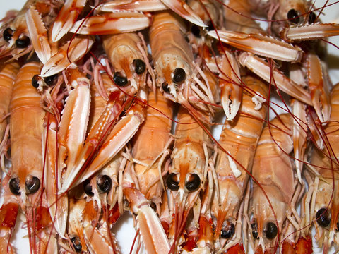 Marisco