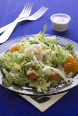 Fresh salad with shrimp and tomato