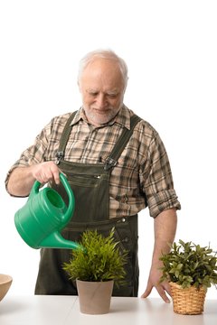 Elderly Man Watering Plants