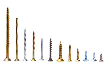 Various kind of screws horisontally descending aligned