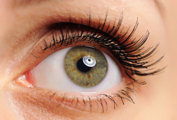 Woman eye