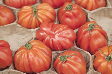 gros plan sur tomates cœur de bœuf