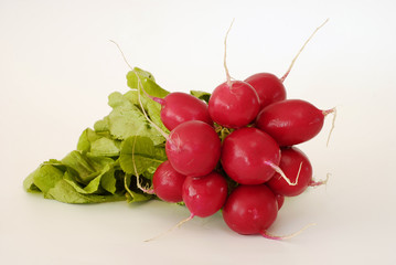 red radish