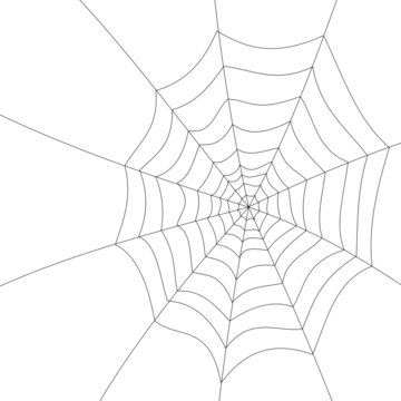 ragnatela