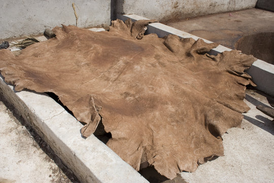 peau qui s&egrave;che dans tannerie au Maroc