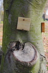 Baumstamm mit Schild