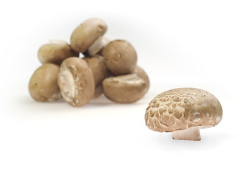 Fototapeta na wymiar Pile of brown mushrooms