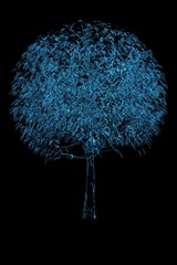 Magic tree 3D rendered xray blue transparent