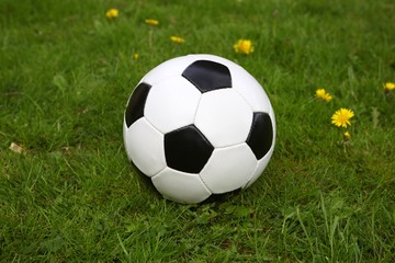 Obraz premium soccer ball on grass