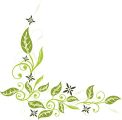 Blumen, Blüten, Ranke, Blätter, floral, filigran, grün