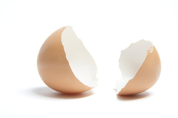Egg Shells