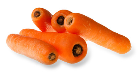 Carrots isolated