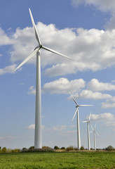 Fototapeta premium Windkraft