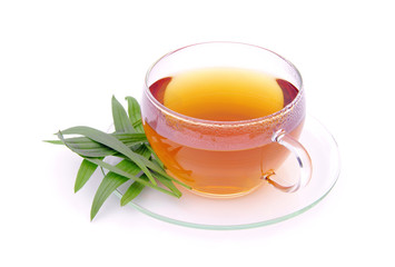 Tee Spitzwegerich - tea ribwort plantain 01