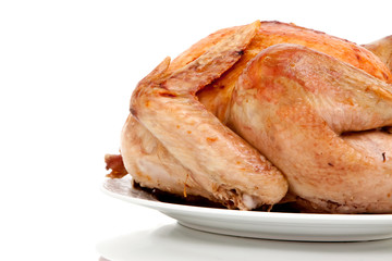 Whole turkey on white background