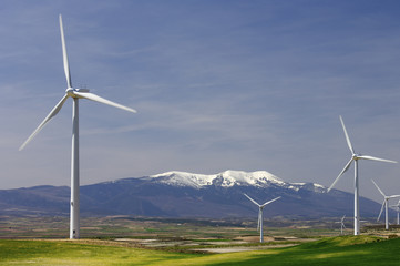 idyllic windmills