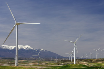 idyllic windmills