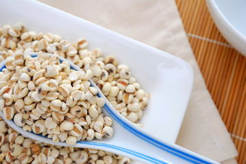 Spoonful of dried barley