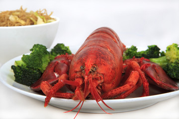 cooked maine lobster served with brocolli and noodles