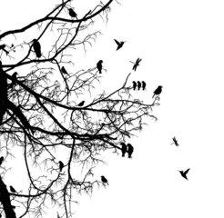 Acrylglas Duschewand mit Foto Vögel am Baum Baum und Vogel