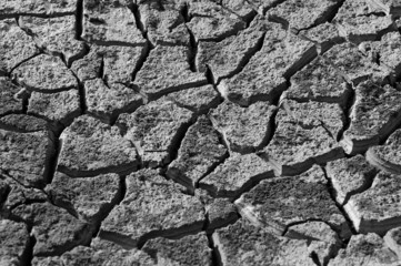 Dry Land