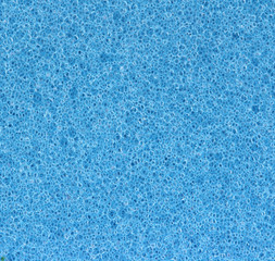Fototapeta na wymiar Blue sponge pores detail