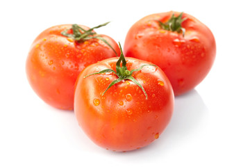 fresh tomatoes on the white background