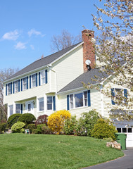 Yellow New England Style colonial house - 22421894