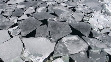 Sea ice on Antarctica © Gentoo Multimedia