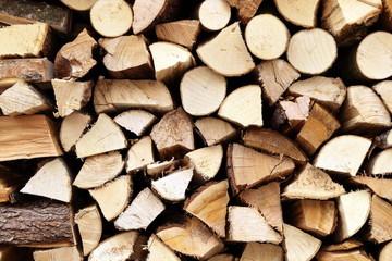 Fototapeta premium Holzscheite