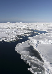 Sea ice on Antarctica © Gentoo Multimedia
