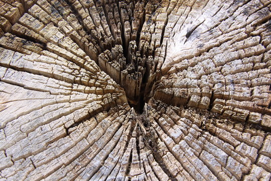 Mazeration Bilder Durchsuchen 37 Archivfotos, und