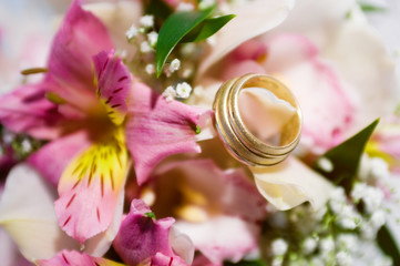 Obraz na płótnie Canvas wedding rings