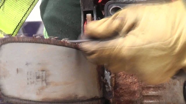 AFILANDO EL DENTADO DE UNA MOTOSIERRA