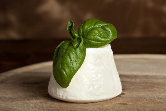 Ricotta Bilder – Durchsuchen 72,831 Archivfotos, Vektorgrafiken und ...