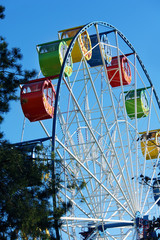 Ferris Wheel in a Park