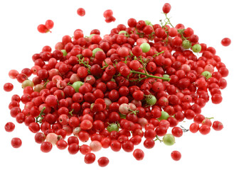 baies roses, schinus terebinthifolus, faux poivrier, fond blanc