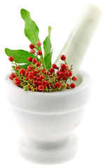 baies roses dans mortier, schinus terebinthifolus, fond blanc