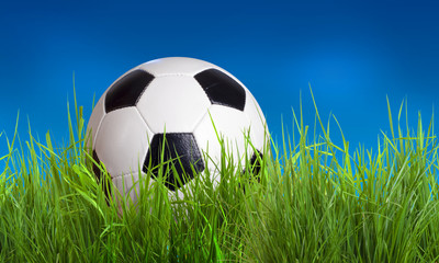 Fototapeta premium ball in grass