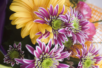 Blumenstrauß bunt