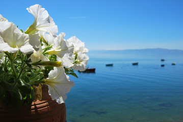 Lake Ohrid 9