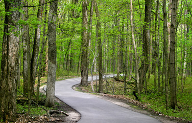 Fototapeta premium Scenic walkway