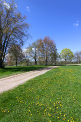 Scenic landscape in spring time