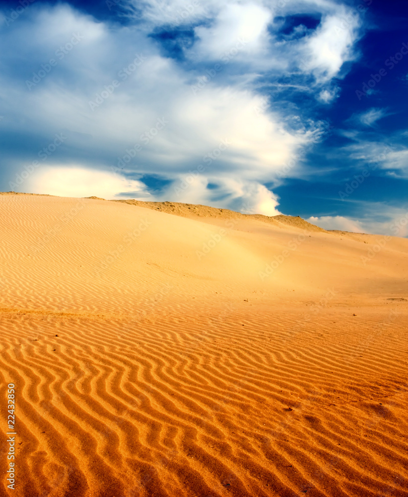 Wall mural desert landscape