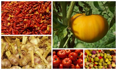 ingrédients méditerranéens