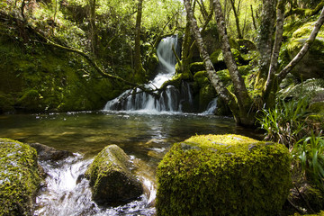 paisajes de la ribeira sacra, orense, galicia, espana © carballo