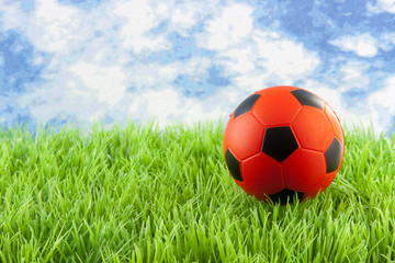 Fototapeta premium orange soccer ball on grass