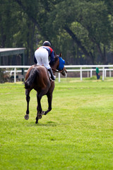 horse at gallop race at hippodrome