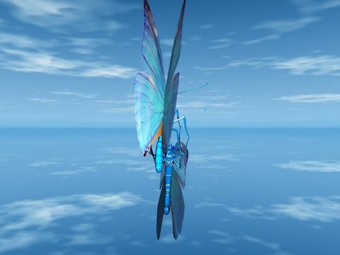 la parade des papillons