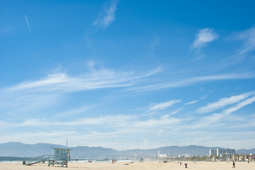 sunny day at venice beach 3 of 7
